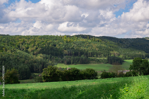Summer landscape with beautiful clouds and forest. © Evgeniya