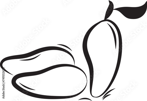 Vector of mango fruit, neat line art
