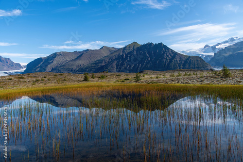 Panoramic view of mountains in Skaftafell nature reserve and Svinafellsjokull glacier  Iceland with reflection in the water of a small pond with grasses in foreground and feather clouds in blue sky