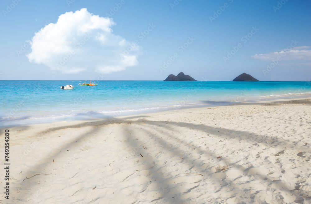 Ocean, Singapore and blue sky for holiday, sand and rocks in shore for peace and tranquility. Seaside, waves and summer for vacation, location and beach for clear water on travel and tropical trip Ocean, Singapore and blue sky for holiday, sand and rocks in shore for peace and tranquility. Seaside, waves and summer for vacation, location and beach for clear water on travel and tropical trip