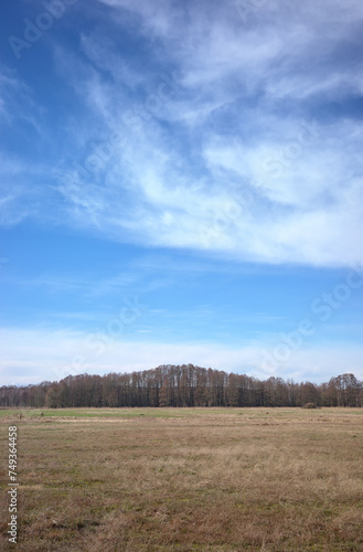 Photo of a rural landscape in northern Poland.