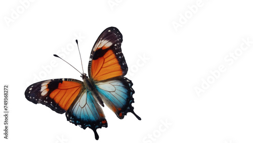 A vibrant and radiant butterfly gracefully flutters on a transparent background