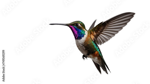 A colorful and brilliant hummingbird soars through the sky against a transparent background © xKas
