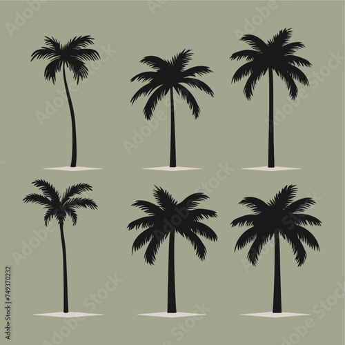 palm tree silhouette set flat vector illustration