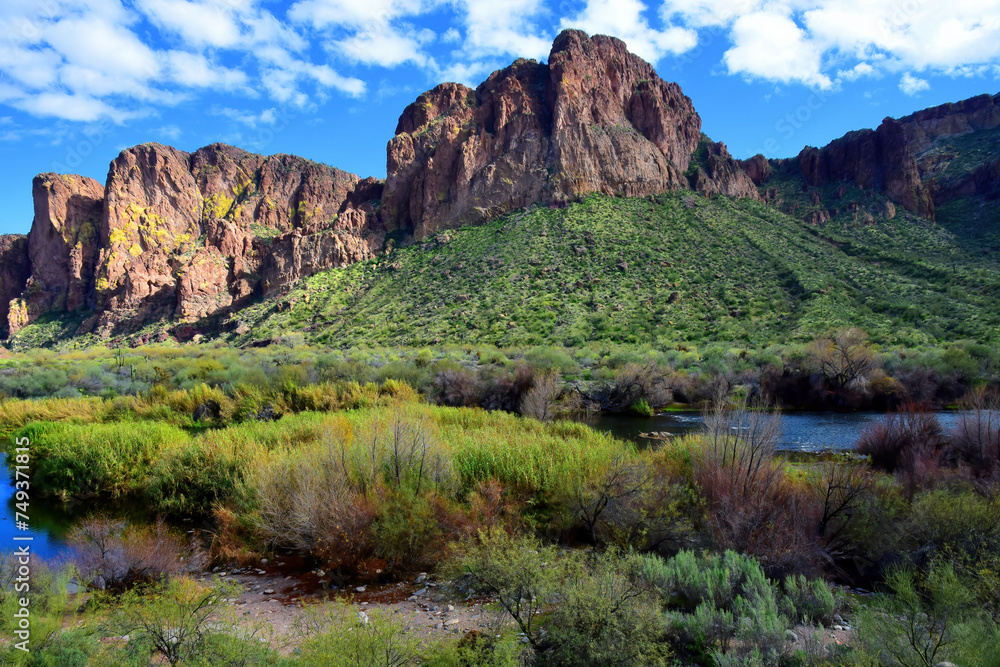 Salt River Recreation Area Arizona