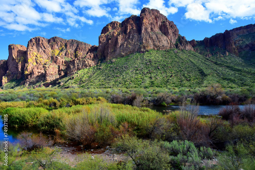 Salt River Recreation Area Arizona