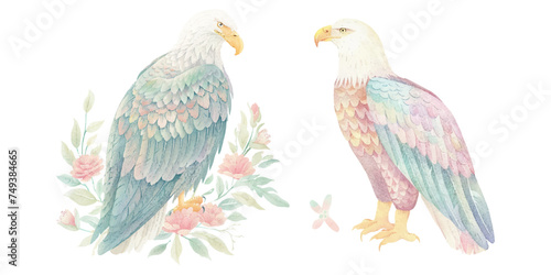  cute american eagle watercolour vector illustration