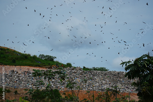 Rubbish mountain of the metropolis of Manaus, Amazonas, Brazil. The waste dump is populated by thousands of black vultures birds (Coragyps atratus, family Cathartidae) in the air and on the litter.