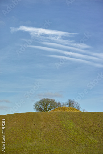 Landscape, field and mound with trees or blue sky in nature with horizon, grass and natural environment in Mexico. Land, meadow and grassland for farming, agriculture and cultivation in countryside