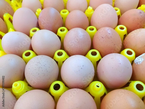 Eggs are sold at the market