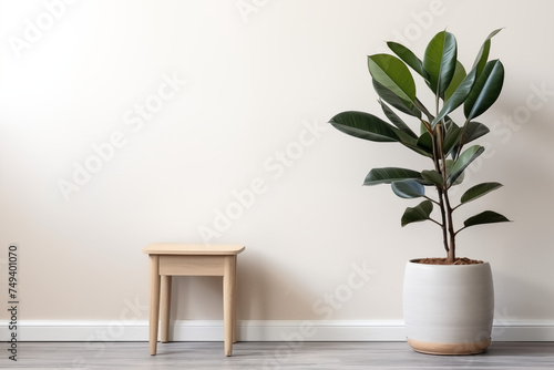 Indoor Plant Décor with Vase on Table in Room