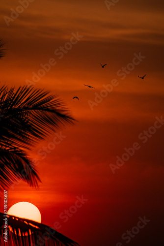 sunset over the sea