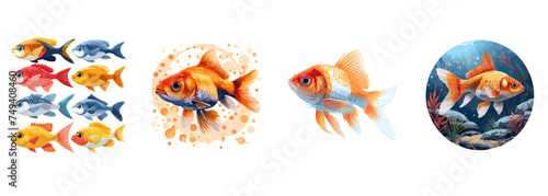 Fish, aquarium, water pet clipart vector illustration set