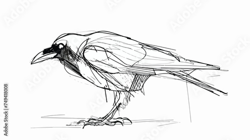 Vector crow drawing in one continuous line isolated on