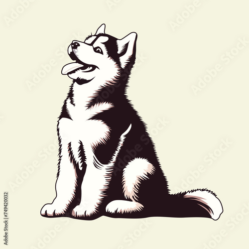 Siberian Husky sitting and looking up illustration Vector
