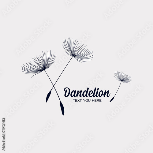 Fototapeta Naklejka Na Ścianę i Meble -  Dandelion flower logo simple creative template  . Vector design