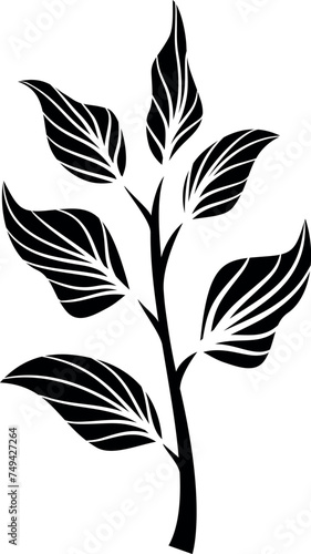 Design of stalks and leaves in an editable vector file with a transparent background. Linear style signs for mobile concepts  web  posters  flyers  other design art.