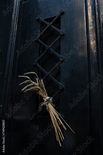 Photography Amsterdam