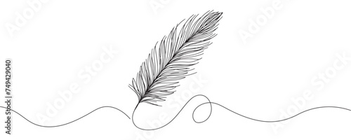 Continuous drawing of a bird feather on a white background. vector illustration of a feather in one line.