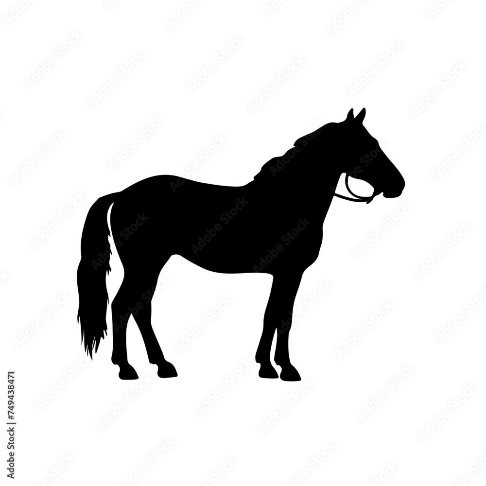 Black silhouete a horse side view isoleted Black silhouete a horse side view isoleted