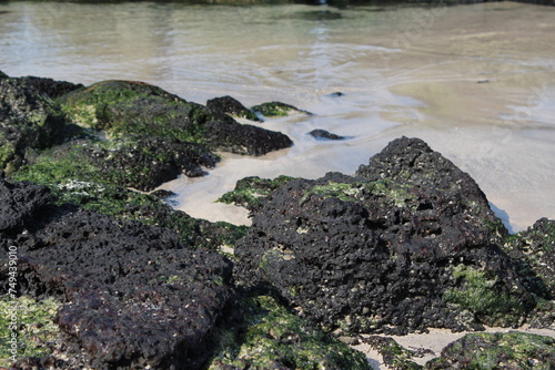 the rocks of the coast