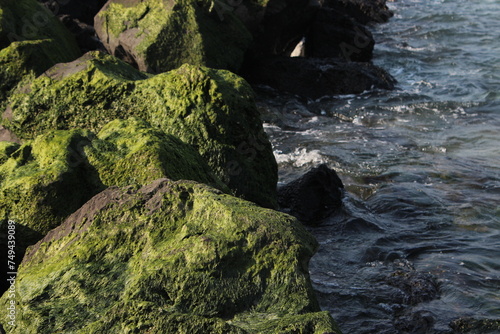 the rocks of the coast