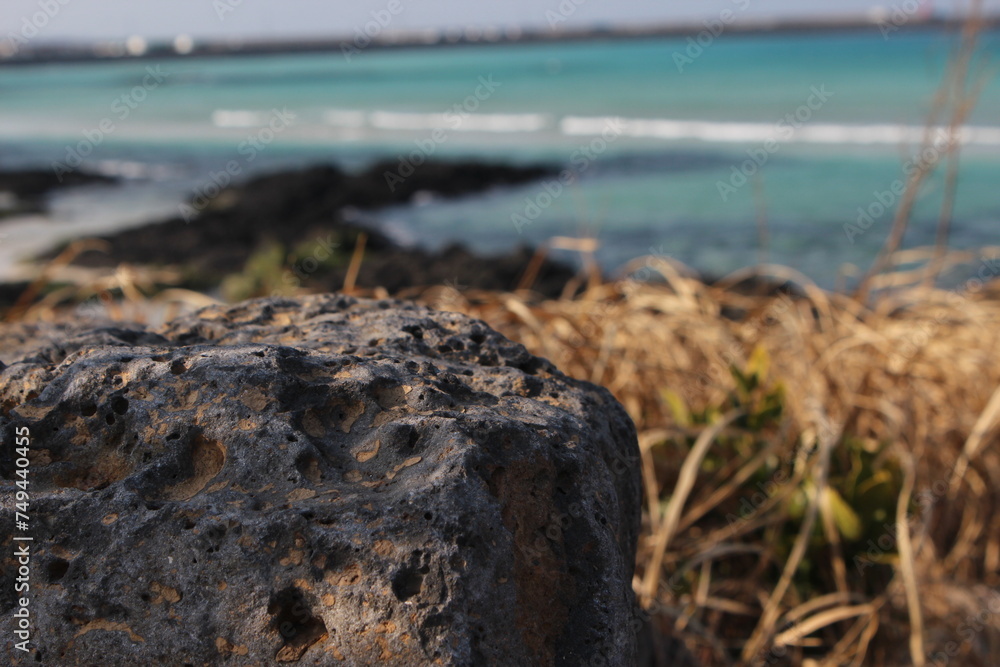 a coastal landscape