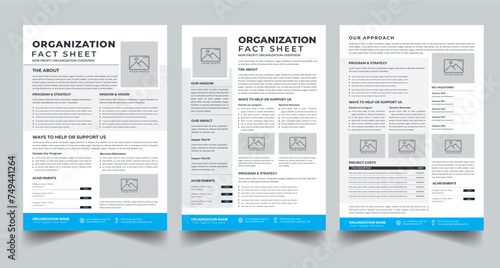 Nonprofit Organization Fact Sheet layout design template with 3 style design concept	 photo