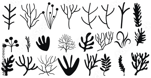Set corals seaweed silhouette marine plant elements isolated vector decorative elements isolated illustration on white background icons and stamp