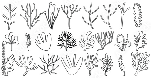 Set corals seaweed silhouette marine plant elements isolated vector decorative elements isolated illustration on white background icons and stamp