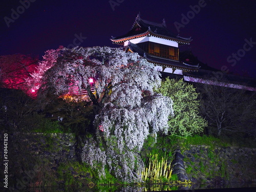 大和郡山城の御殿夜桜