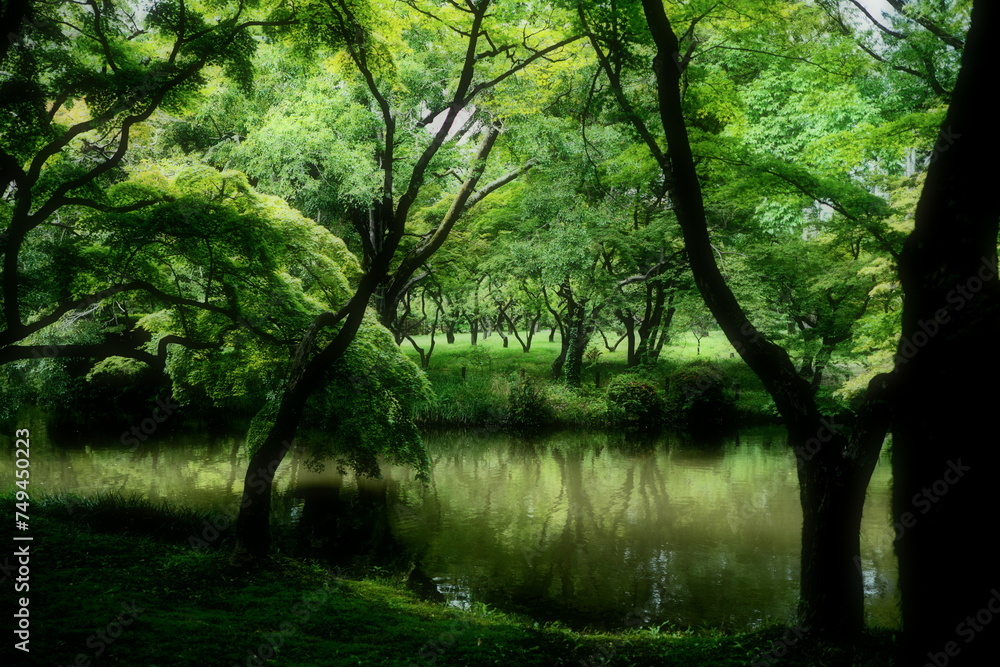 京都のなからぎの森