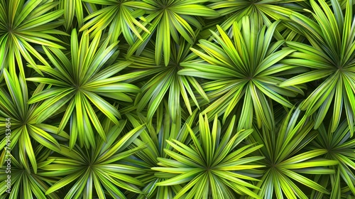 a close up view of a bunch of green plants with leaves on the top and bottom of the leaves on the bottom of the picture.