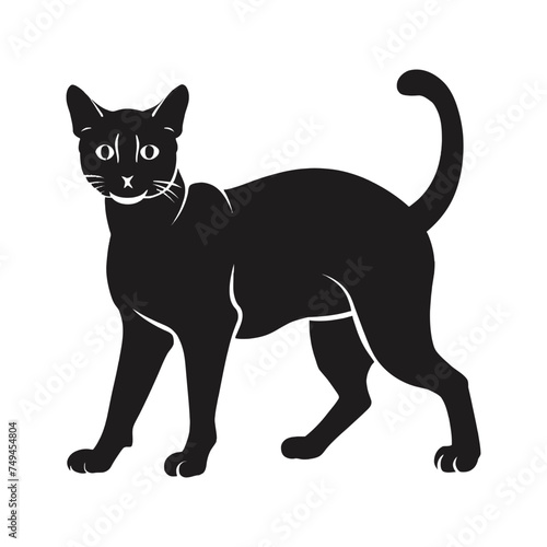 black Cat illustration silhouette  vector in white background.