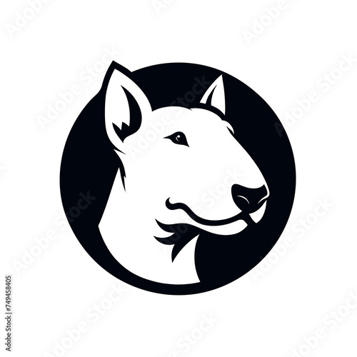Foto Bull Terrier dog