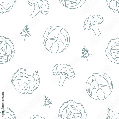 Pattern with cauliflower, white cabbage, broccoli and dill. Seamless background with vegetables. Doodle-style background for your design.