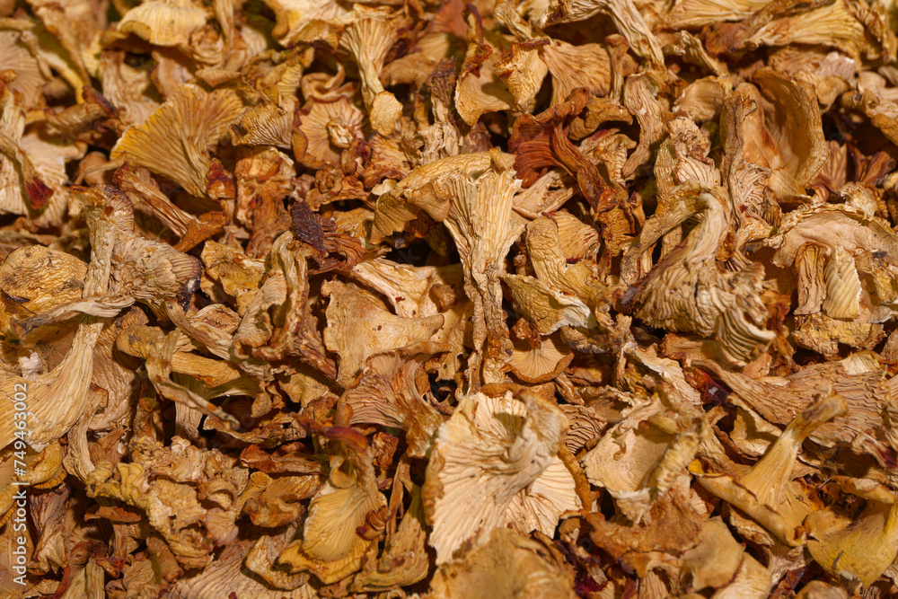Dried sliced chanterelle mushrooms Dried sliced chanterelle mushrooms