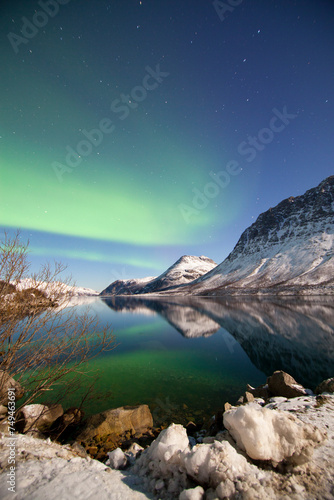 Northern Lights  aurora borealis  in northern Norway