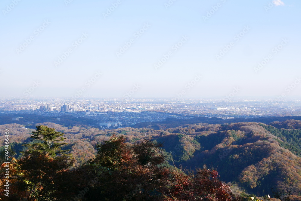 view of the city from the top