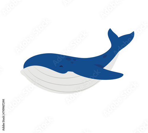 Whale. Underwater marine life