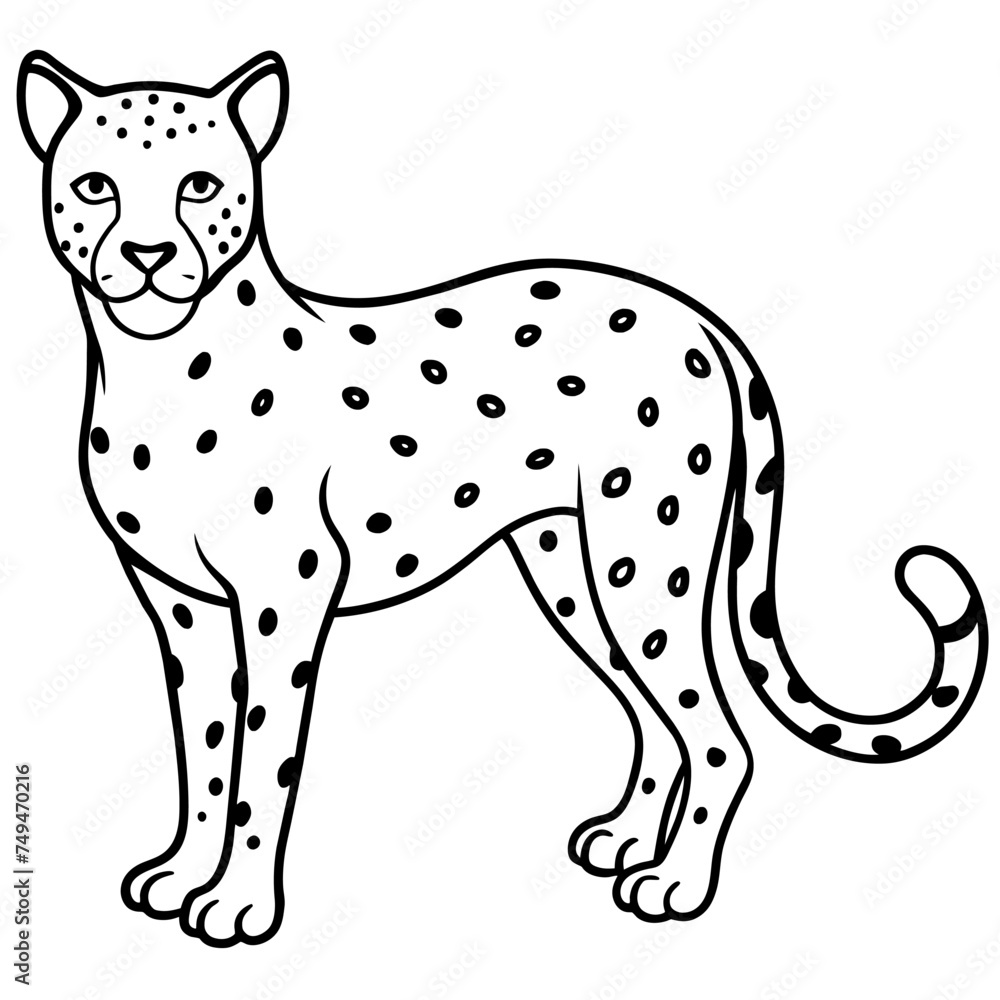 Fototapeta premium Cheetahs. Set of three colored vector images 