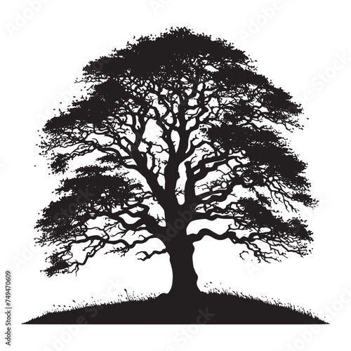 Enduring Strength: An Elm Tree Silhouette Embodying Resilience - Elm Tree Illustration - Elm Tree Vector
