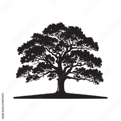 Nature's Majesty: A Powerful Oak Tree Silhouette Reaching for the Sky - Illustration of Oak Tree - Vector of Oak Tree - Silhouette of Oak Tree

