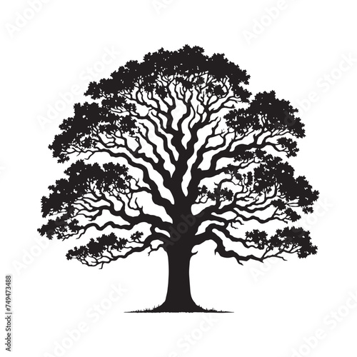 A Beacon of Strength: A Towering Oak Tree Silhouette Providing Shelter and Security - Illustration of Oak Tree - Vector of Oak Tree - Silhouette of Oak Tree 