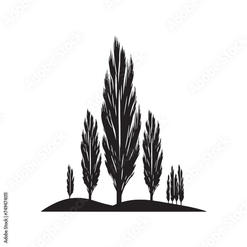 A Solitary Sentinel: A Lone Poplar Tree Silhouette Standing Guard Over the Land - Illustration of Poplar Tree - Vector of Poplar Tree - Silhouette of Poplar Tree
