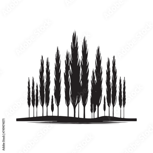 Towering Strength: A Majestic Poplar Tree Silhouette Reaching for the Sky - Illustration of Poplar Tree - Vector of Poplar Tree - Silhouette of Poplar Tree
