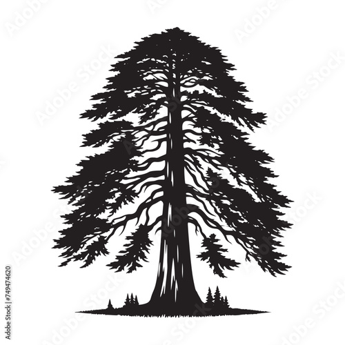 Redwood Tree Silhouette Framed by Morning Mist: A Symbol of Ancient Mystery - Illustration of Redwood Tree - Vector of Redwood Tree - Silhouette of Redwood Tree
