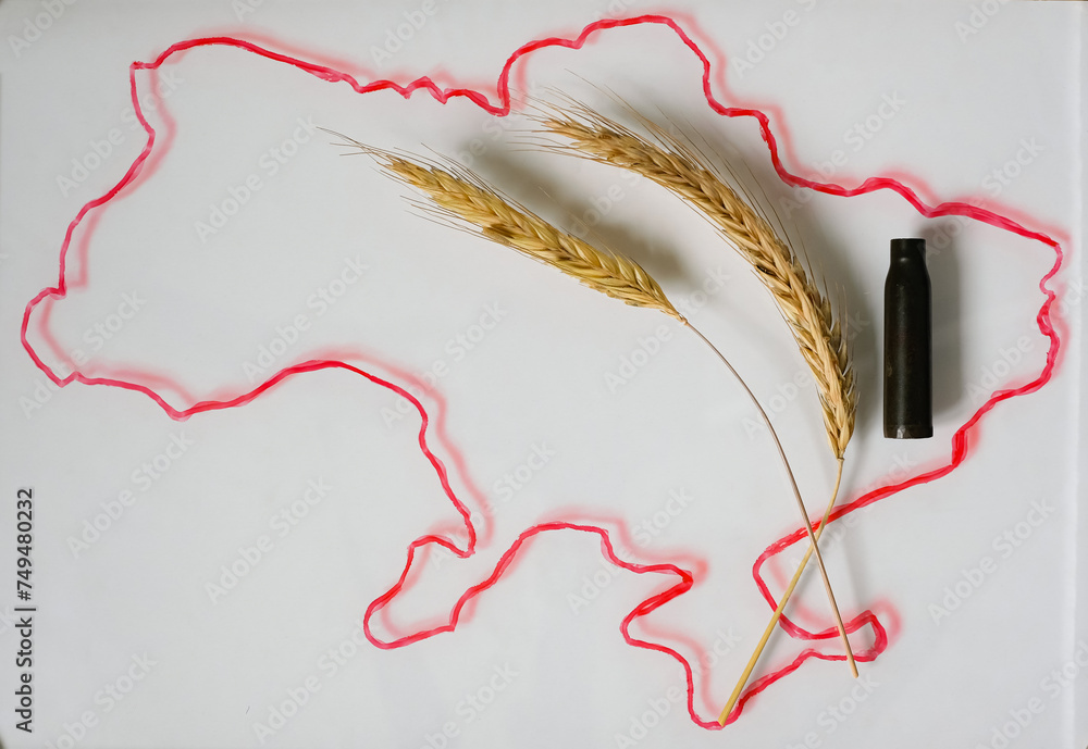 Ukrainian Map. Spikelets. Wheat. Red line. Glass Surface. Shadows. Ukrainian Map. Spikelets. Wheat. Red line. Glass Surface. Shadows.