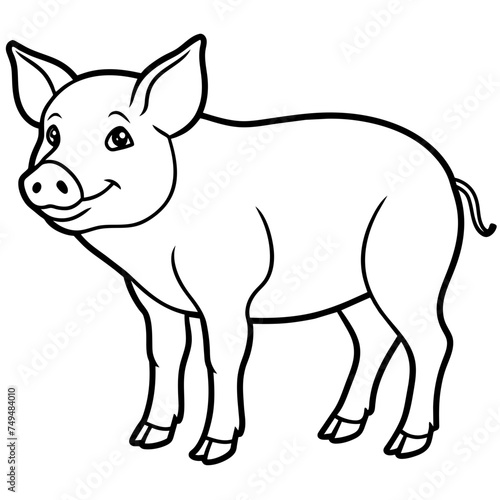 Pig, swine, boar, piglet, piggy, animal, pet, vector, illustration, draw, cartoon, pretty, cute