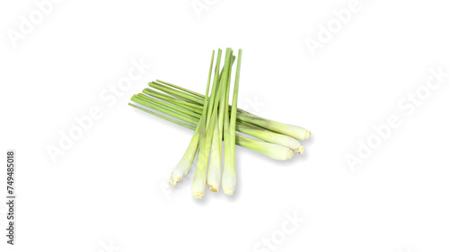 Fresh green Lemon grass herb